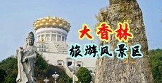 狠肏流水大骚逼视频中国浙江-绍兴大香林旅游风景区