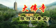 大屌透骚逼视频免费中国浙江-新昌大佛寺旅游风景区